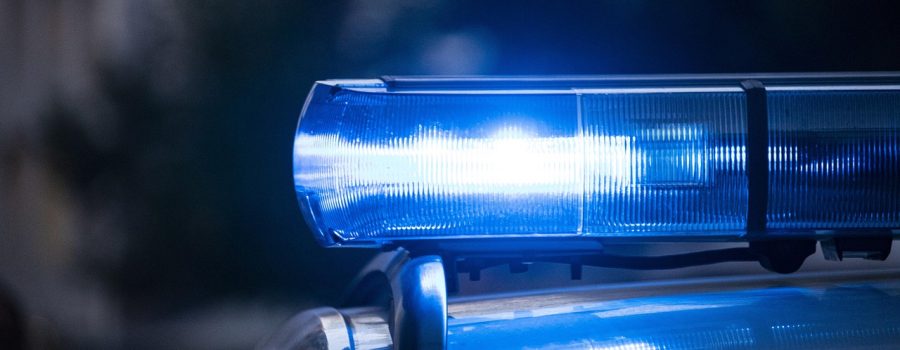 Cookieloos analytics WordPress